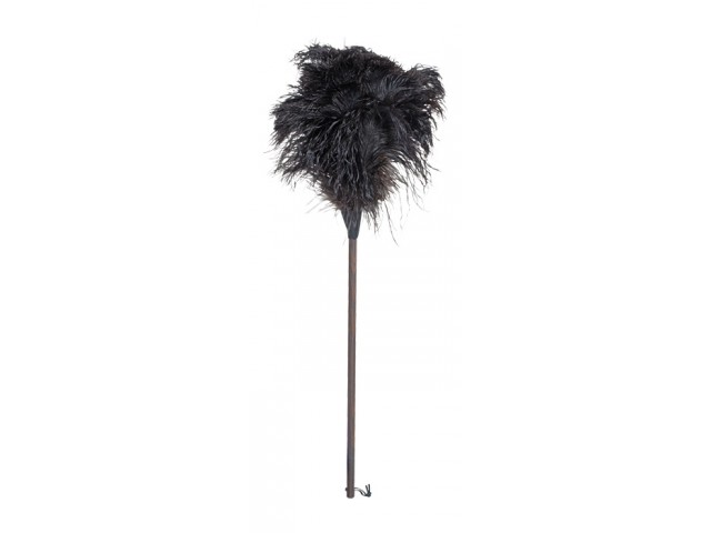 ostrich black feathers