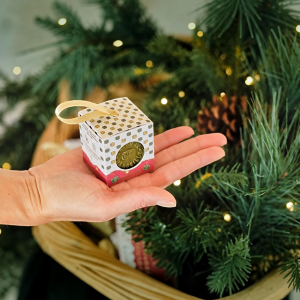 Marius Fabre Christmas Soap - Green 100g